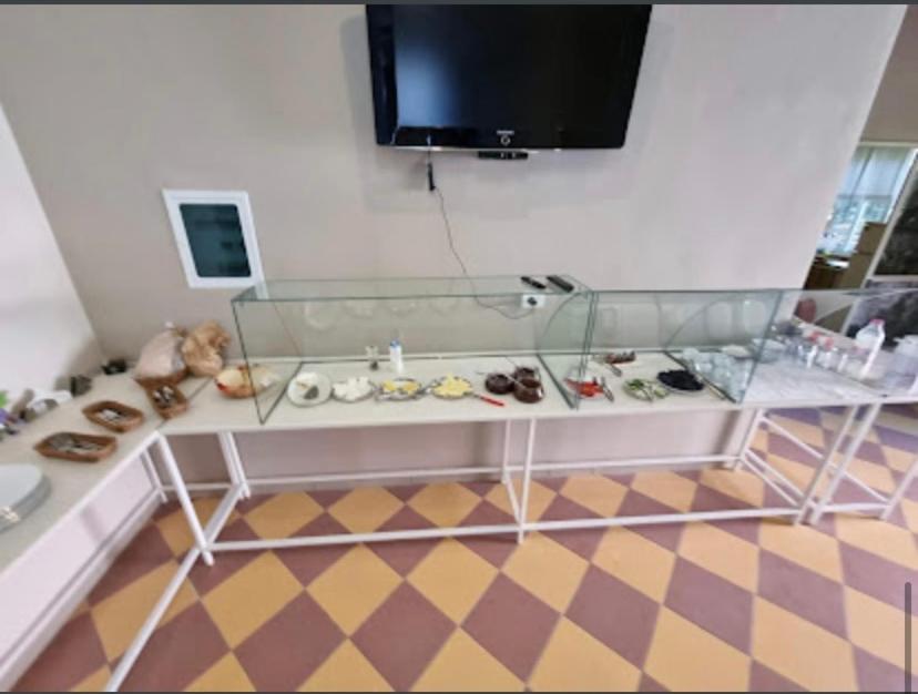 Hotel Vila Nino Μπεράτ Εξωτερικό φωτογραφία
